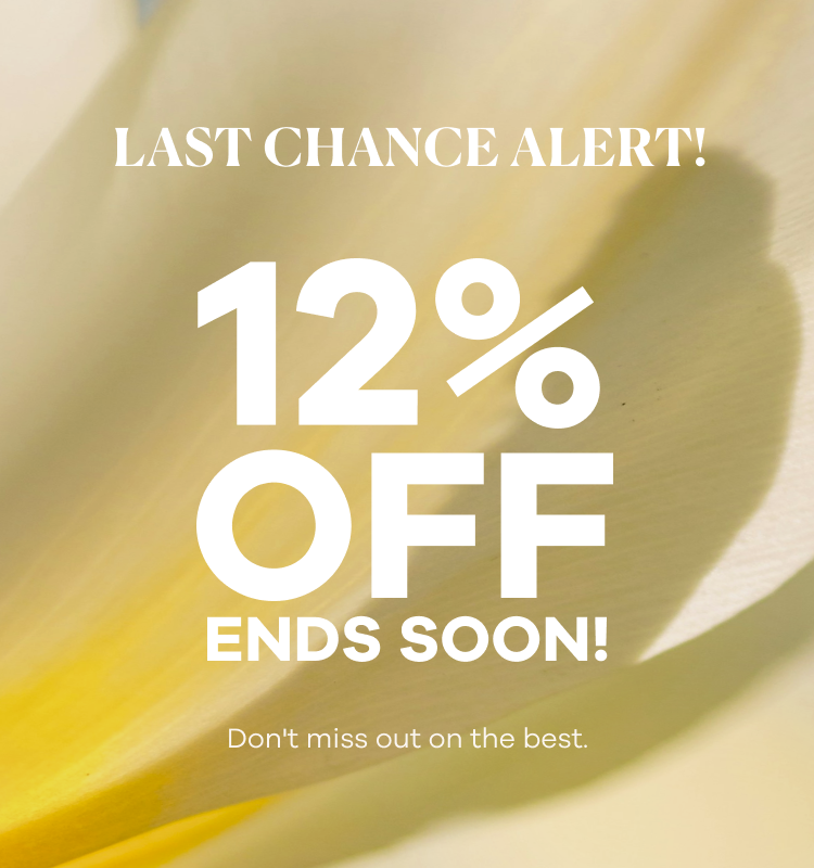 LAST CHANCE ALERT! 12% OFF ENDS SOON! 